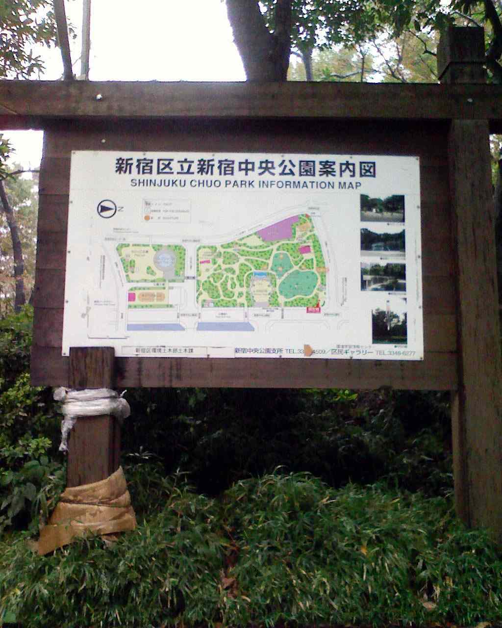 クリックで拡大